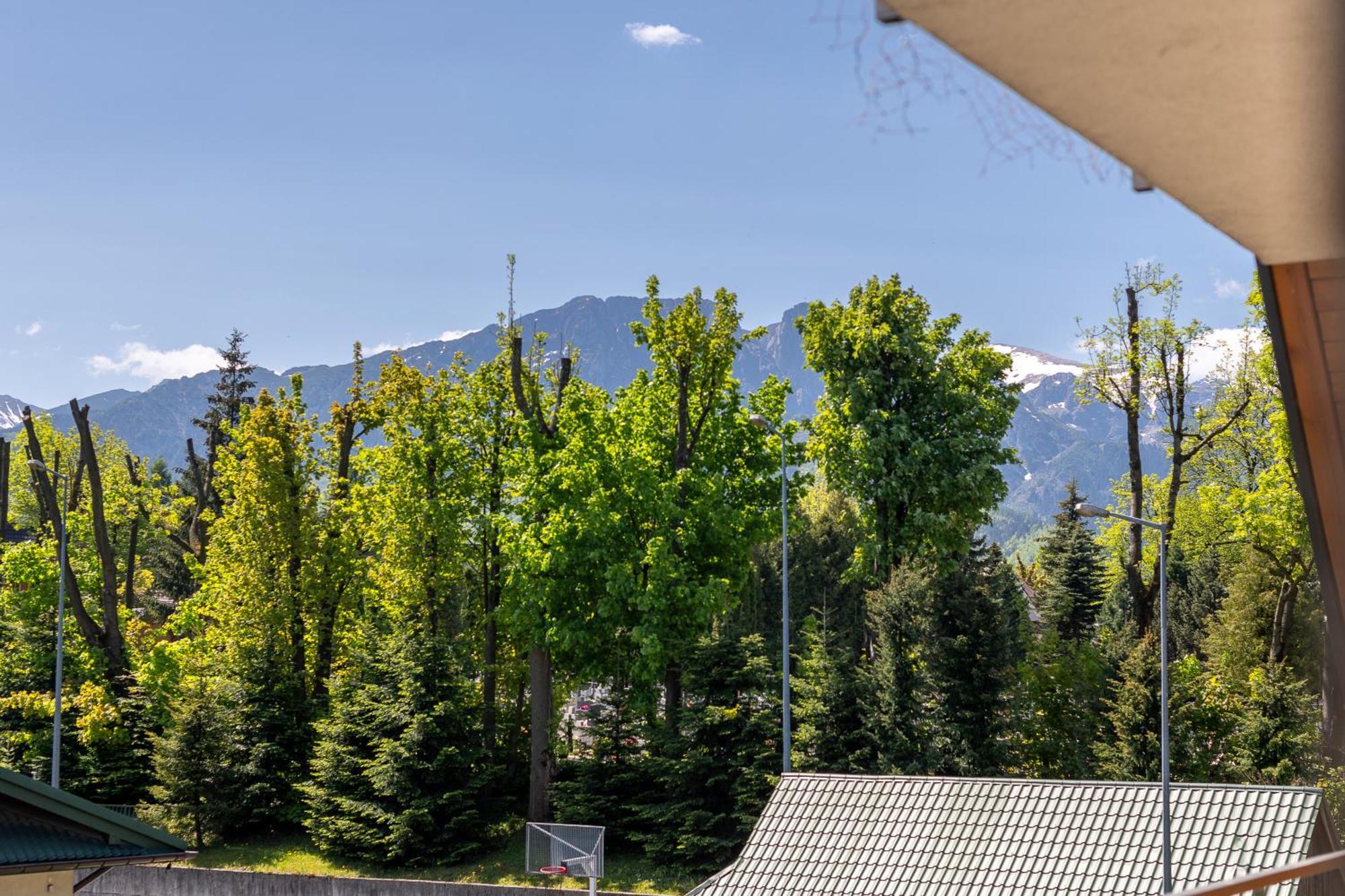 Prestige Apartamenty Bystra Woda Centrum Zakopane Værelse billede